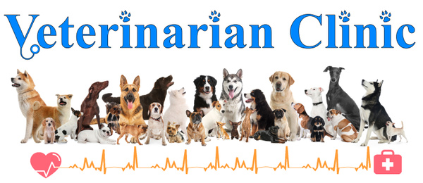 Image of Collage with different dogs and text Veterinarian Clinic on white background. Banner design