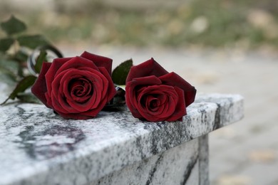 Photo of Red roses on granite tombstone outdoors, space for text. Funeral ceremony