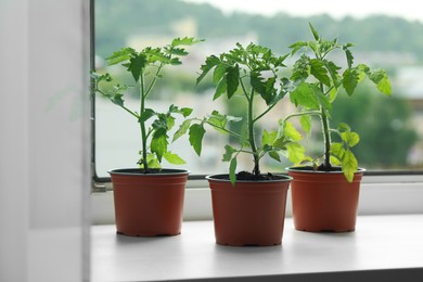 Photo of Different seedlings growing in plastic pots with soil on windowsill