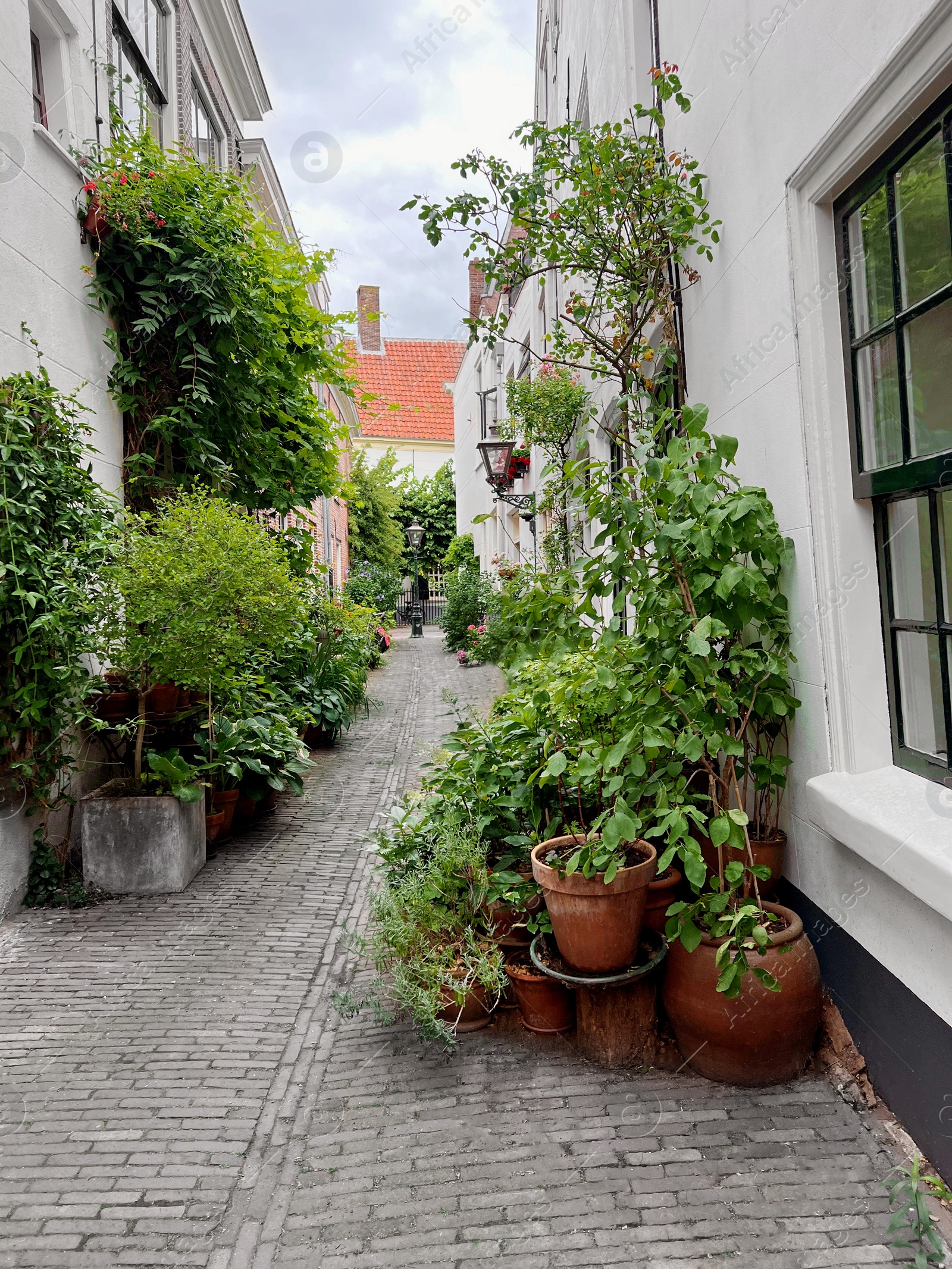 Photo of Beautiful view of city street with buildings and plants on sunny day