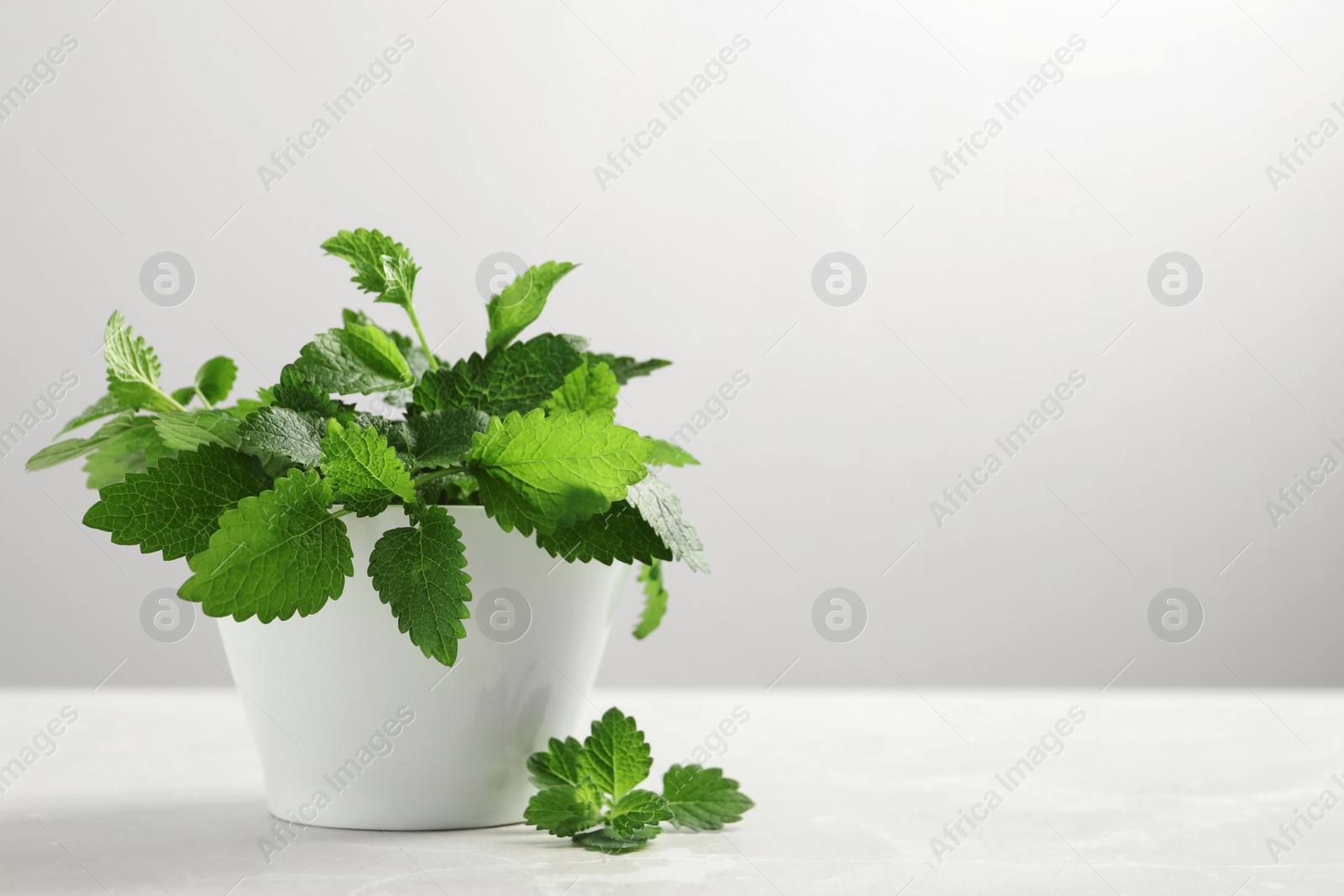 Photo of Fresh lemon balm in bowl on white table, space for text