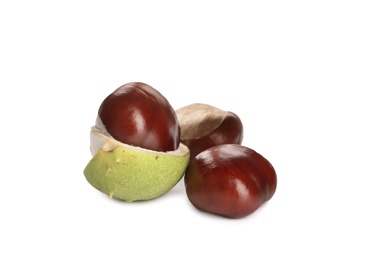 Horse chestnuts with pod isolated on white