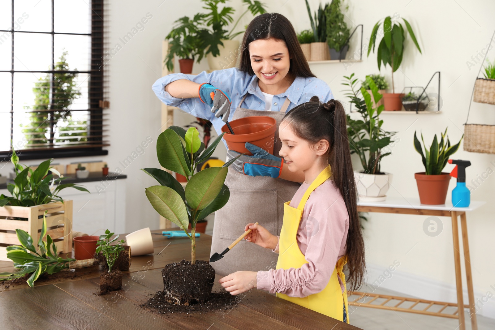 Photo of Mother and daughter taking care of plant at home