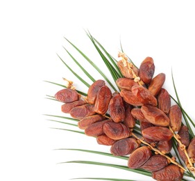 Photo of Sweet dates on branches and green leaves against white background, top view. Dried fruit as healthy snack