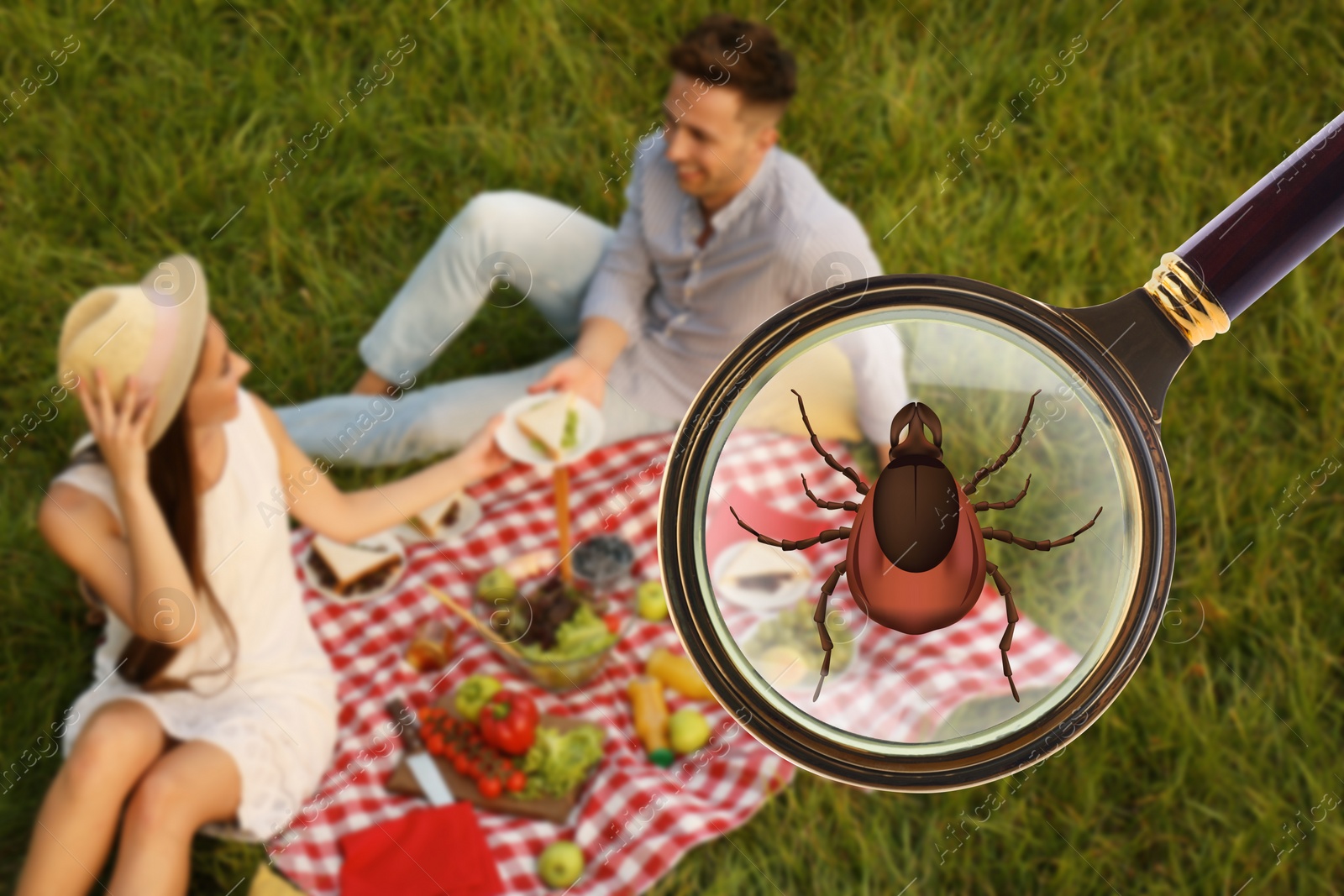 Image of Happy couple having picnic in park and don't even suspect about hidden danger in green grass. Illustration of magnifying glass with tick, selective focus