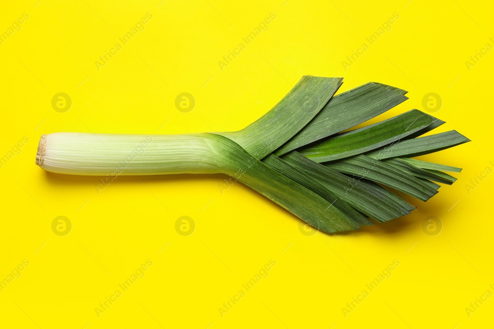 Photo of Fresh raw leek on yellow background, top view. Ripe onion