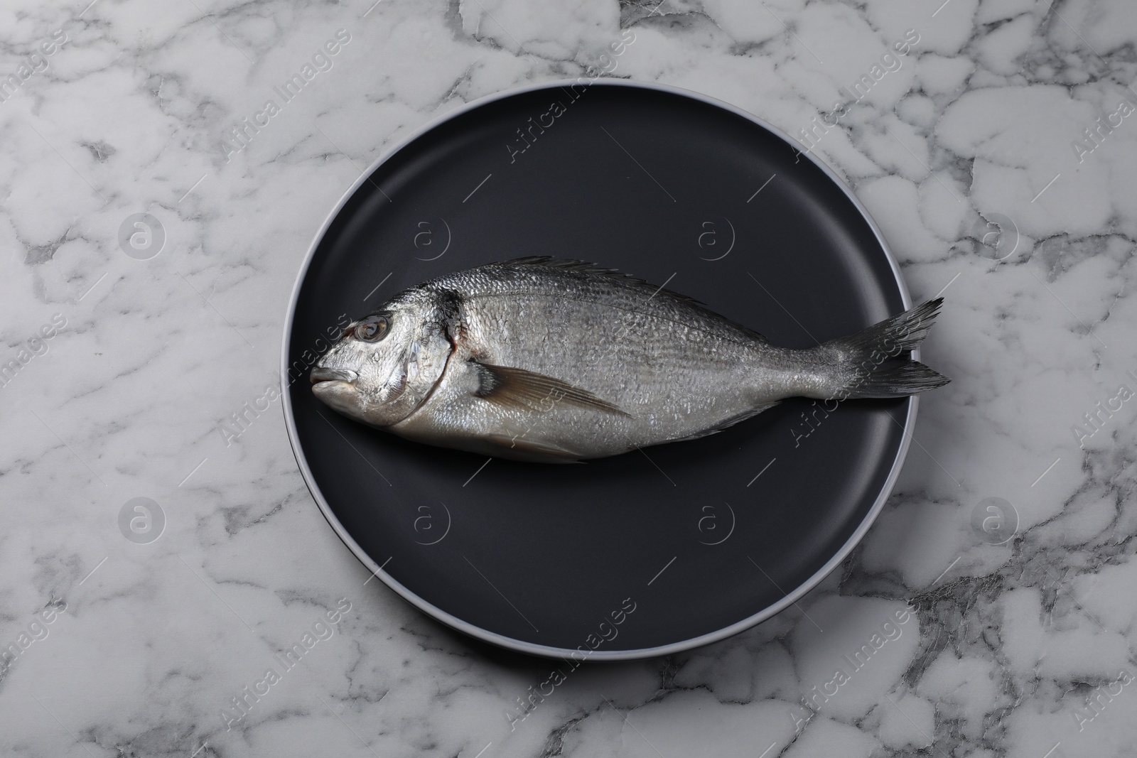 Photo of Fresh dorado fish on white marble table, above view