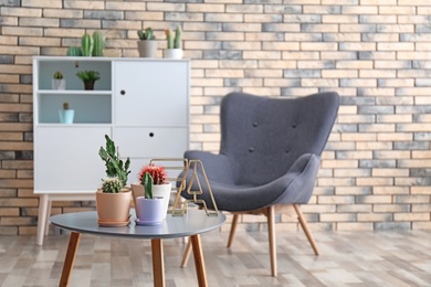 Photo of Beautiful interior with different cacti in flowerpots