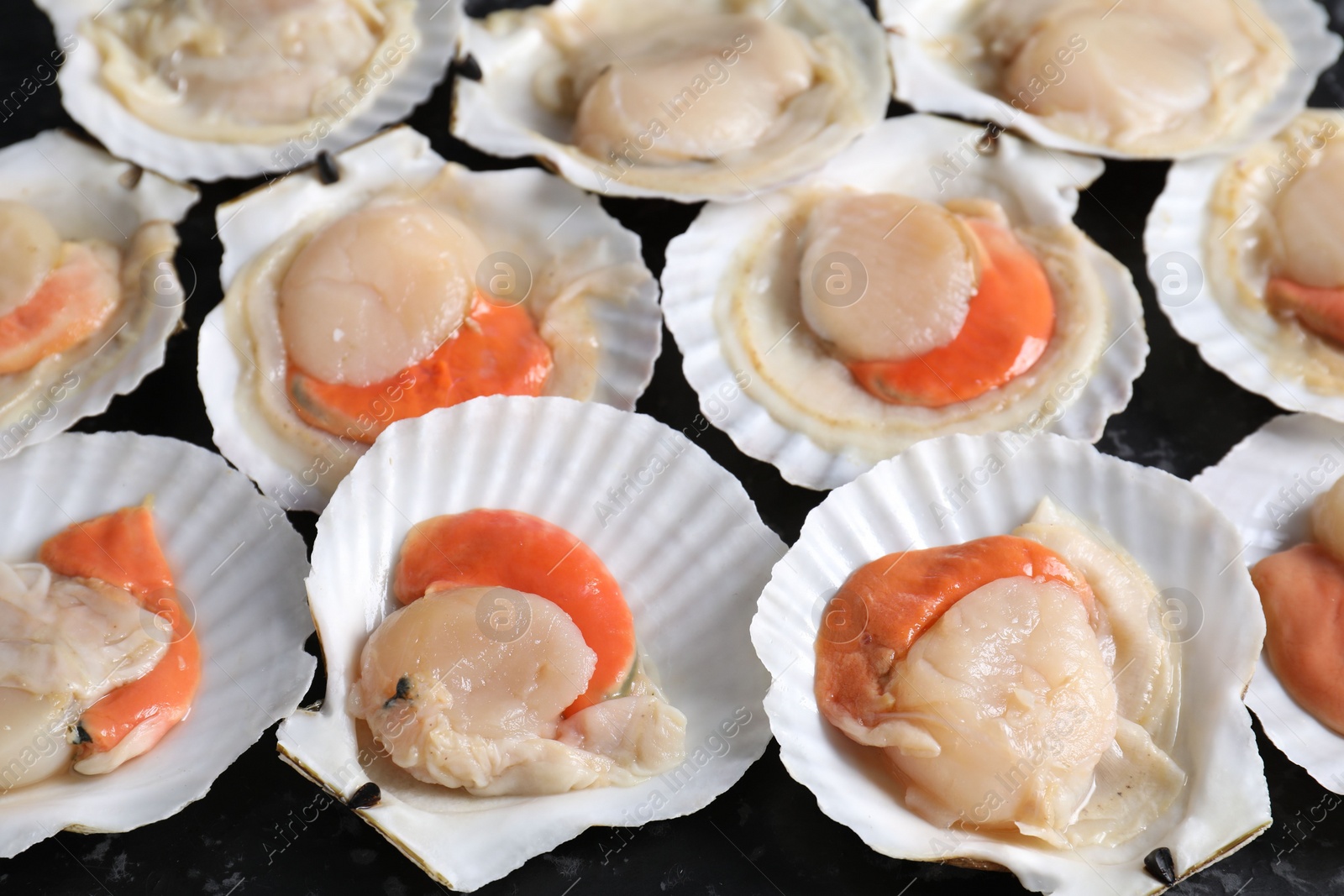 Photo of Fresh raw scallops with shells on black textured table, closeup