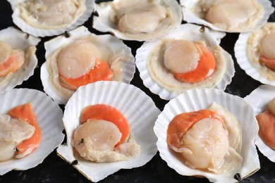 Fresh raw scallops with shells on black textured table, closeup