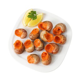 Photo of Delicious cooked snails with lemon and parsley isolated on white, top view