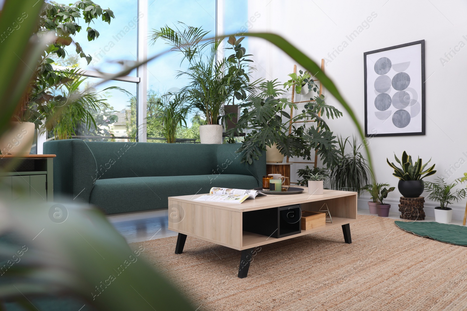 Photo of Living room interior with modern furniture and houseplants