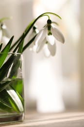 Photo of Beautiful snowdrops in glass on table indoors. First spring flowers