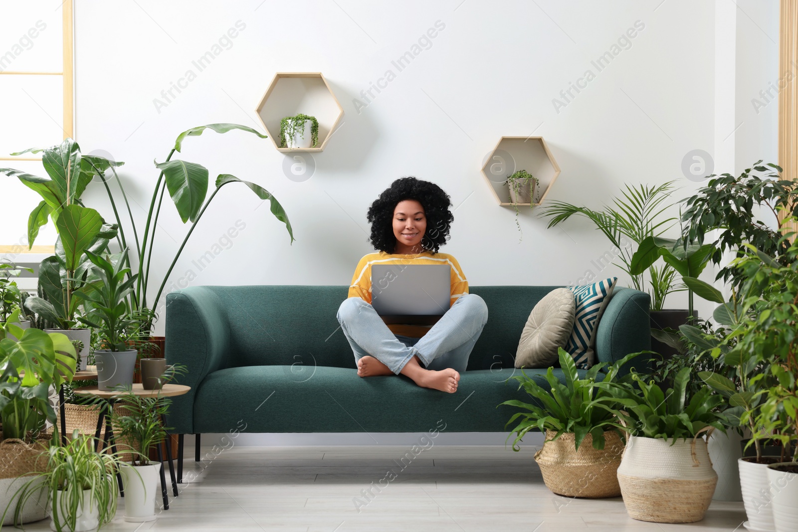 Photo of Relaxing atmosphere. Happy woman with laptop on sofa surrounded by beautiful houseplants in room