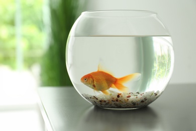 Photo of Beautiful bright small goldfish in round glass aquarium on table indoors