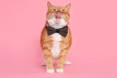 Photo of Cute cat with bow tie licking itself on pink background