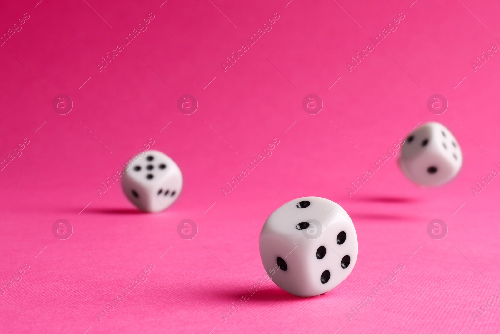 Photo of Many white game dices falling on pink background