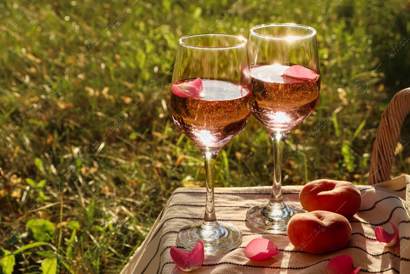 Photo of Glasses of delicious rose wine with petals and peaches on white picnic blanket outside. Space for text