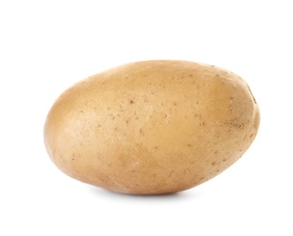 Photo of Fresh ripe organic potato on white background