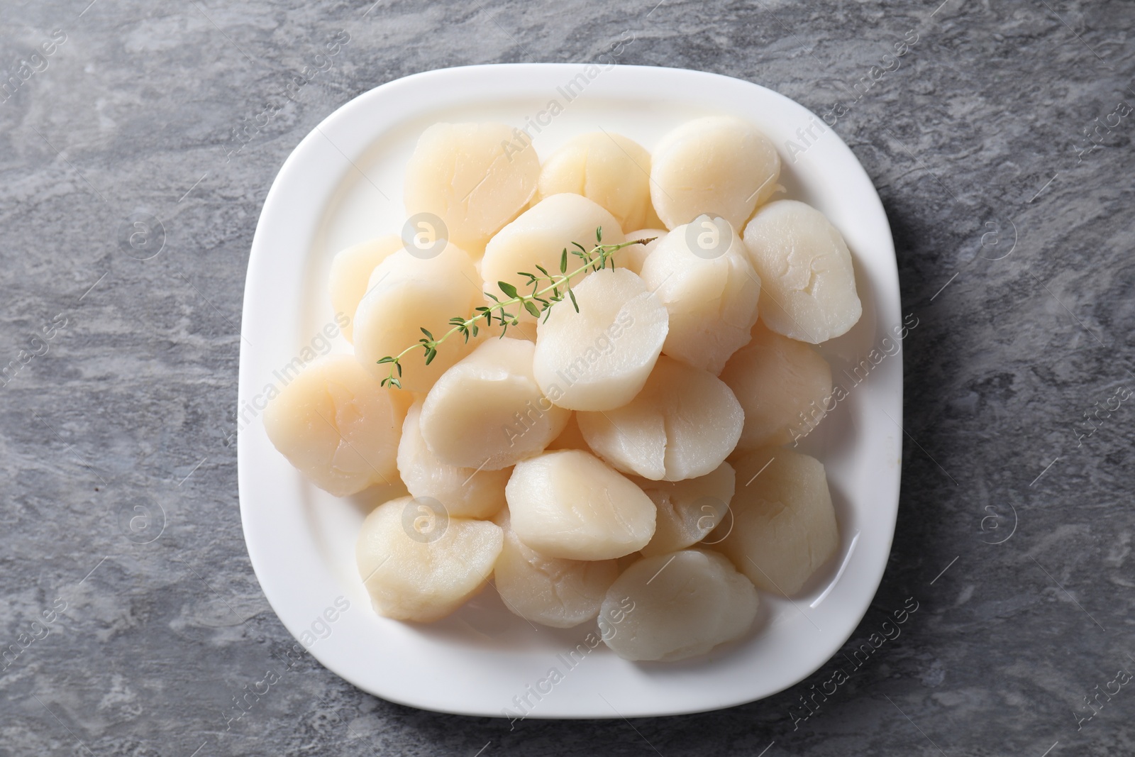 Photo of Fresh raw scallops and thyme on grey table, top view