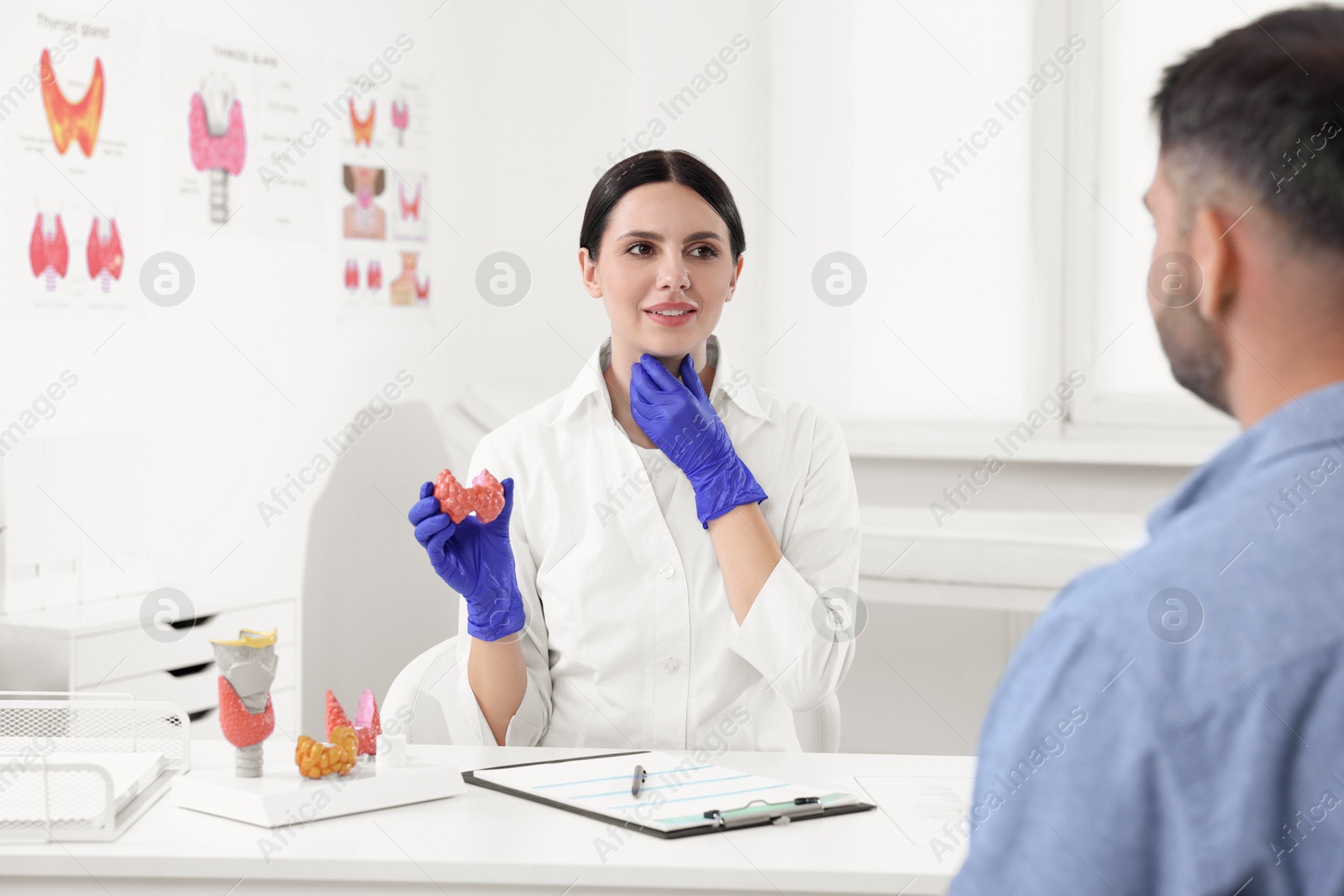 Photo of Endocrinologist showing thyroid gland model to patient at table in hospital