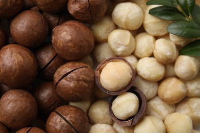 Tasty Macadamia nuts as background, top view