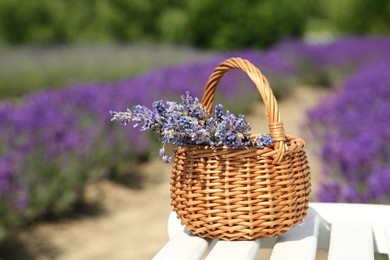 Wicker bag with beautiful lavender flowers on white wooden bench in field, space for text