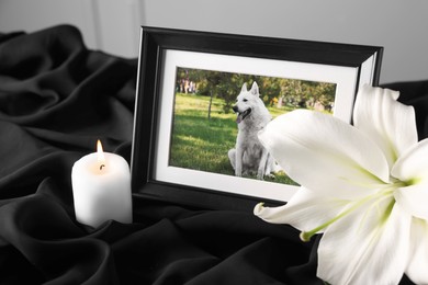 Photo of Frame with picture of dog, burning candle and lily flower on black cloth, closeup. Pet funeral