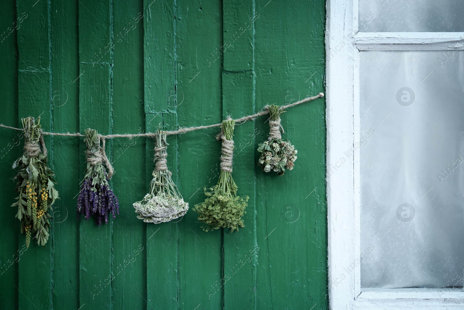 Photo of Bunches of different beautiful dried flowers hanging on rope near green wooden wall outdoors