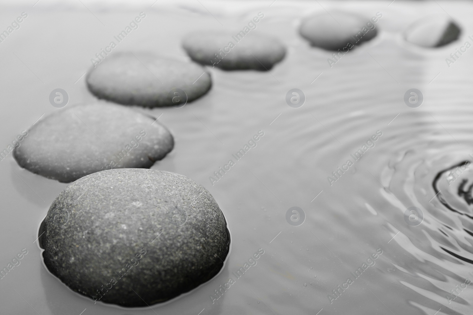 Photo of Beautiful spa stones in water, space for text. Zen lifestyle
