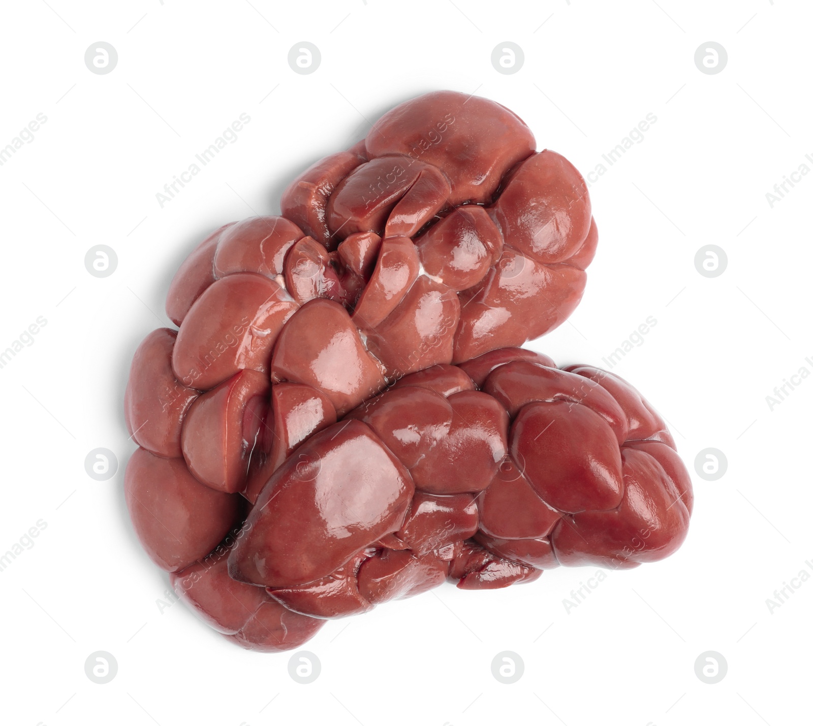 Photo of Fresh raw kidney meat on white background, top view