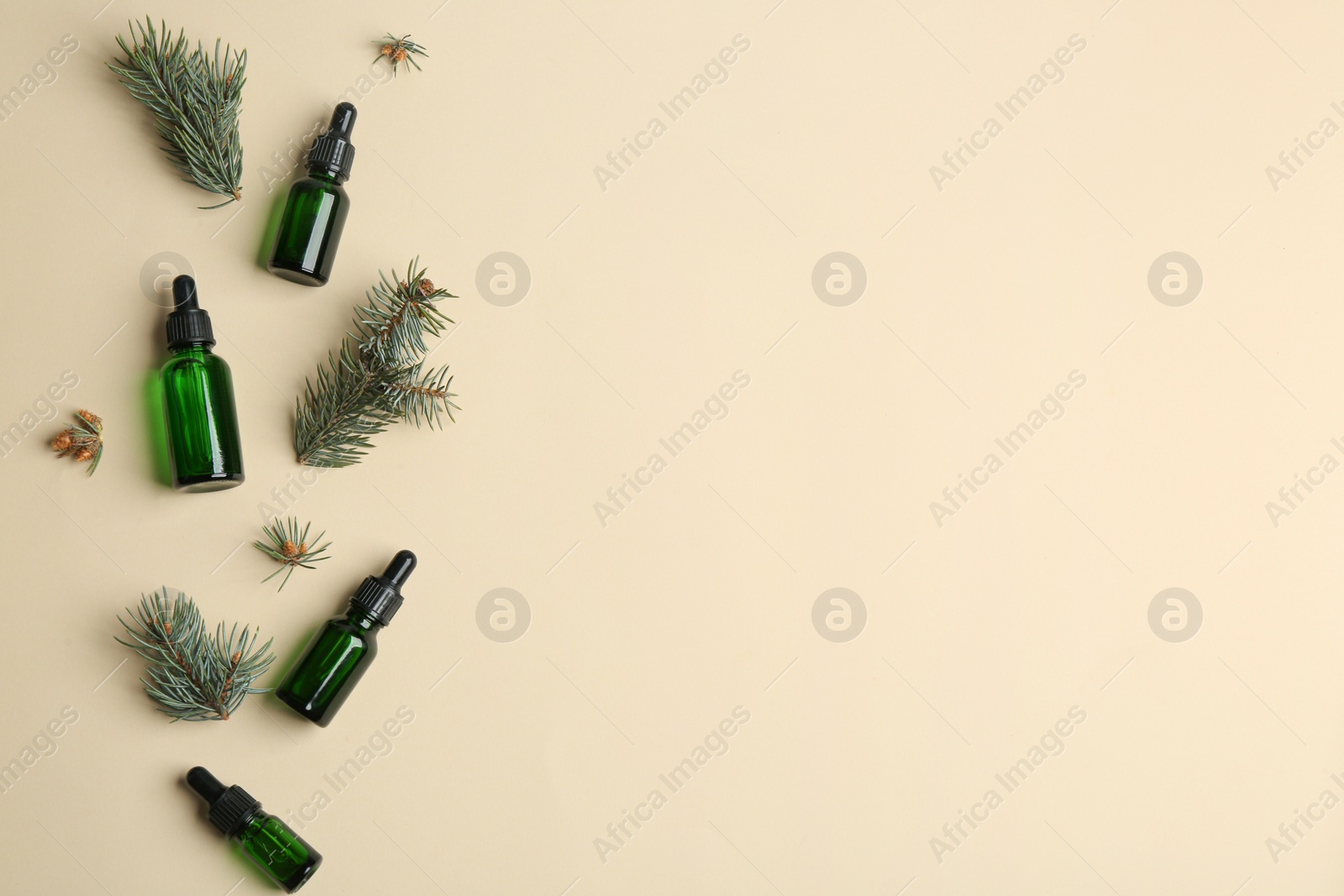 Photo of Flat lay composition with bottles of essential oil and space for text on color background