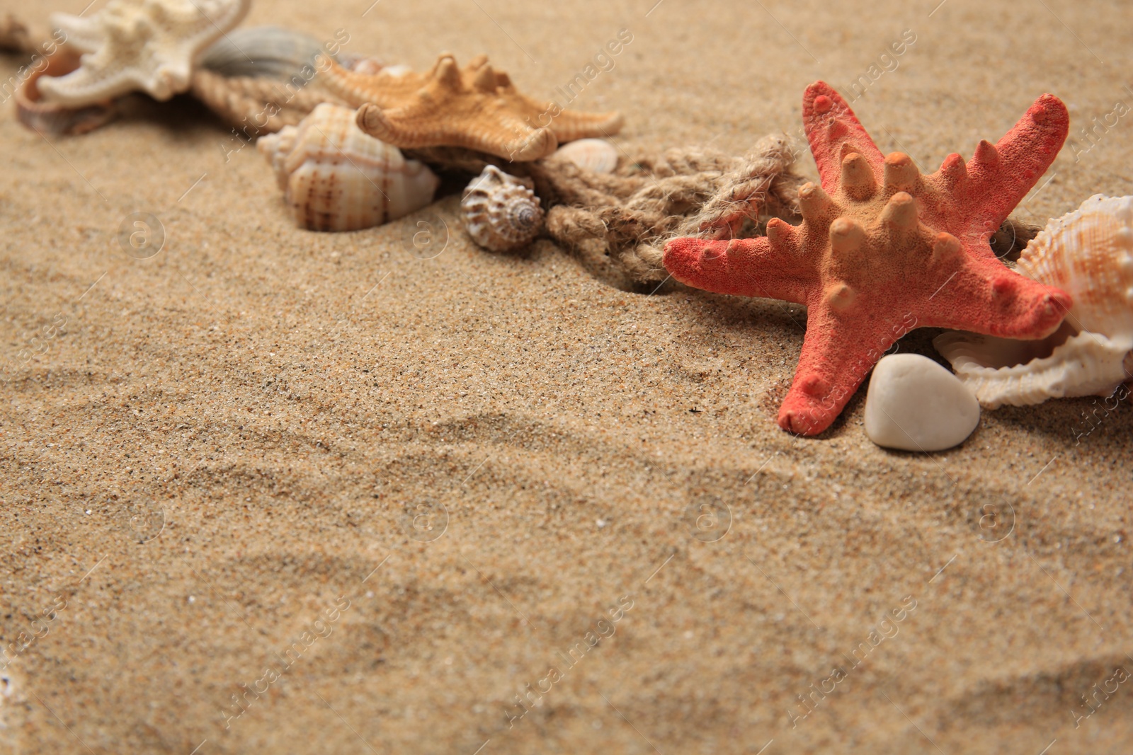 Photo of Beautiful sea stars, shells and ropes on sand, space for text