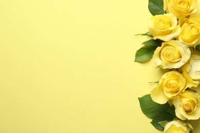 Beautiful roses on yellow background, flat lay. Space for text