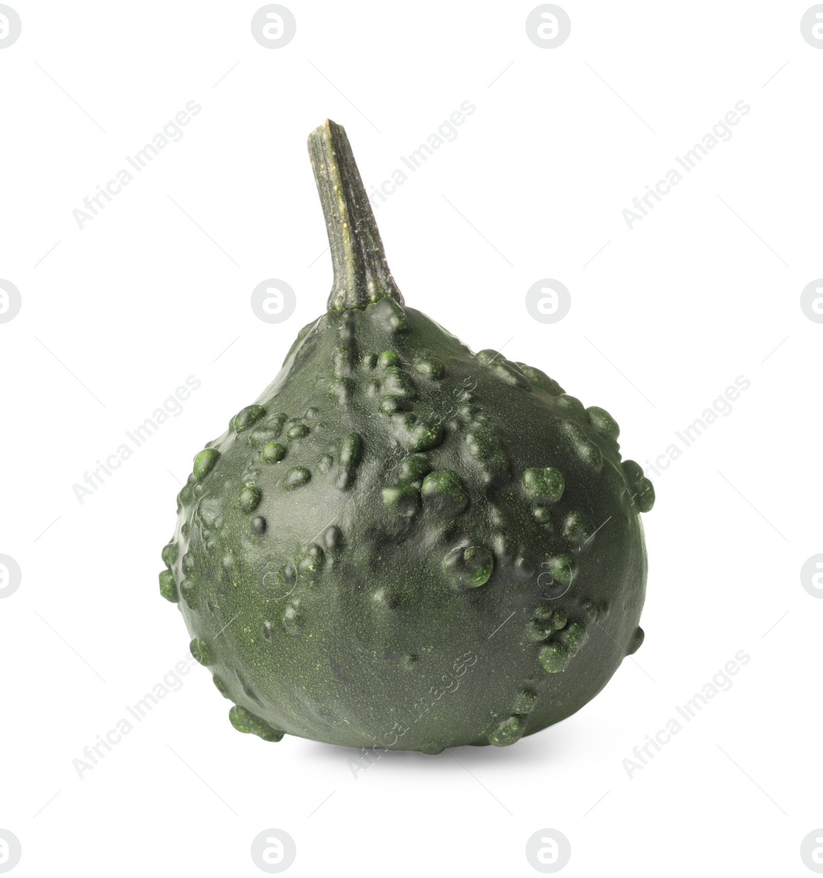 Photo of One fresh green pumpkin isolated on white