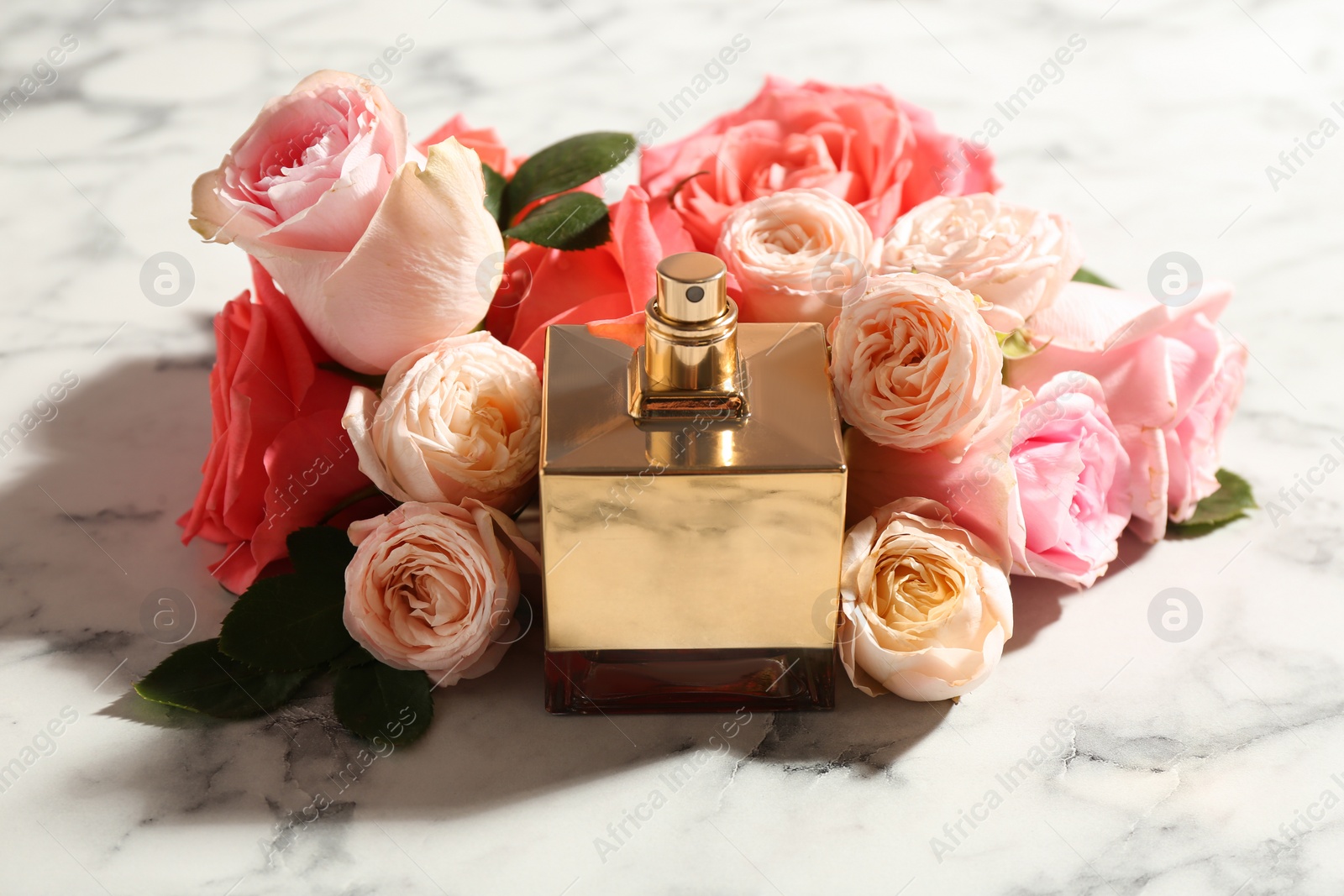 Photo of Bottle of perfume with beautiful roses on marble background