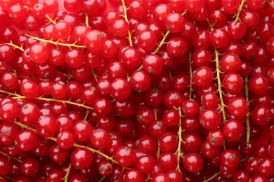 Delicious ripe red currants as background, top view