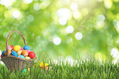 Image of Easter eggs in wicker basket on green grass against blurred background, space for text