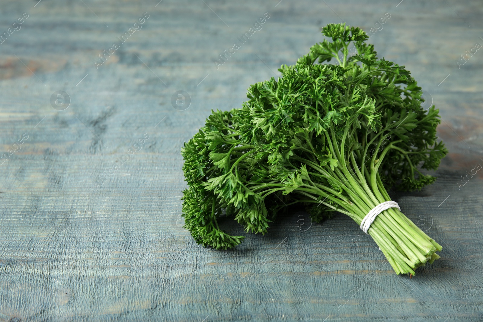 Photo of Bunch of fresh green parsley on blue wooden background. Space for text