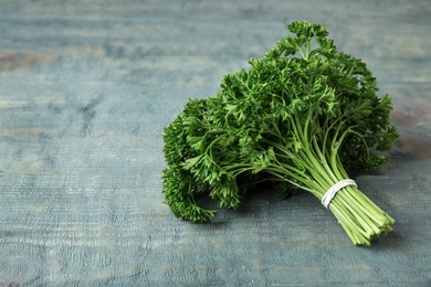 Bunch of fresh green parsley on blue wooden background. Space for text