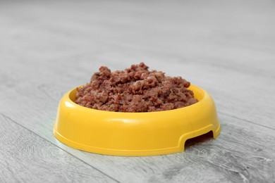 Photo of Wet pet food in feeding bowl on floor