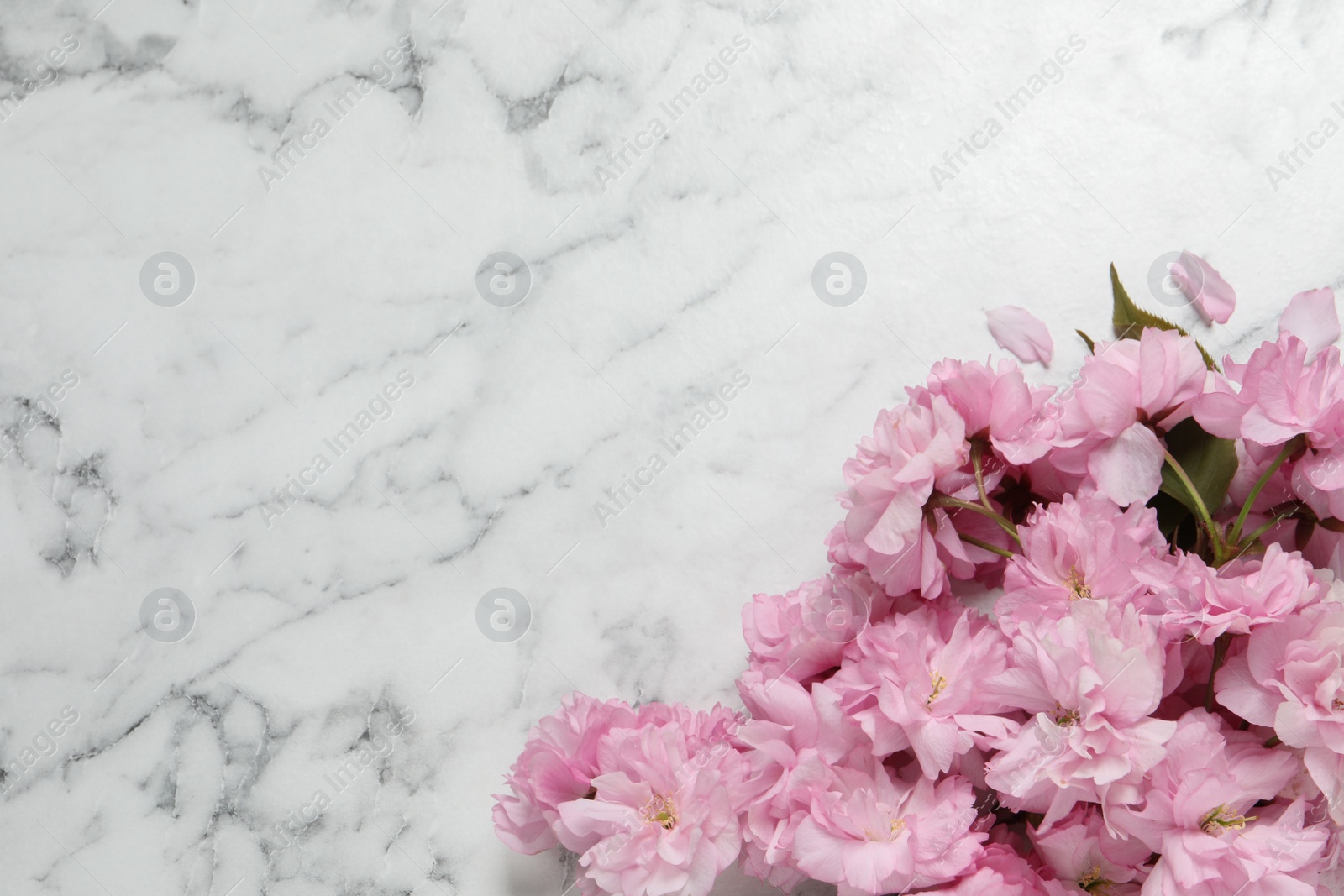 Photo of Beautiful sakura tree blossoms on white marble table, flat lay. Space for text