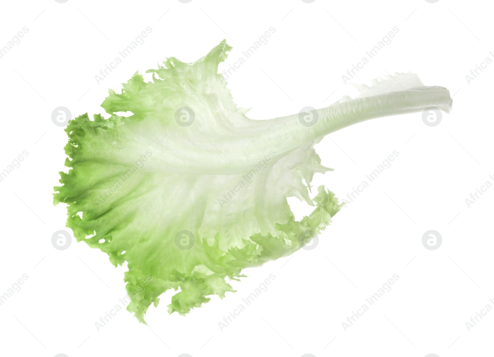 Photo of Fresh green lettuce leaf isolated on white