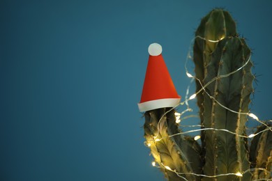 Photo of Cactus decorated with glowing fairy lights and santa hat on blue background, closeup. Space for text