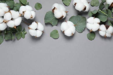 Cotton flowers and eucalyptus leaves on grey background, flat lay. Space for text