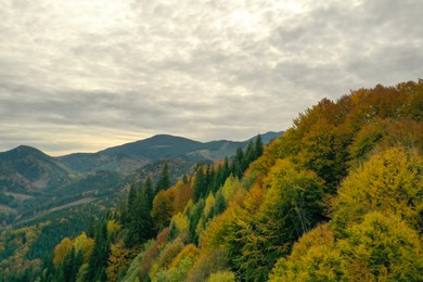 Photo of Aerial view of beautiful mountain forest on autumn day