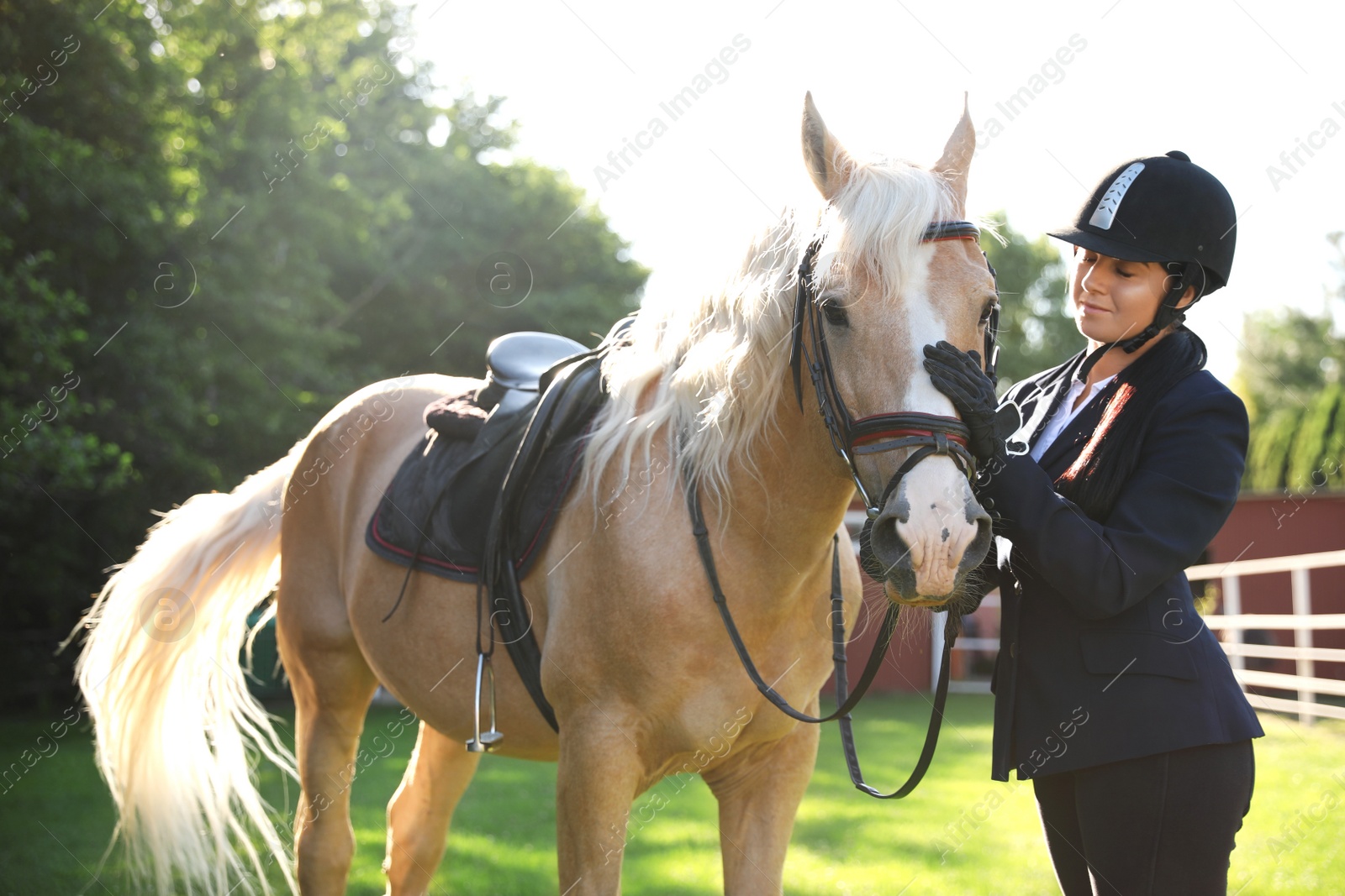 Photo of Young woman in horse riding suit and her beautiful pet outdoors on sunny day