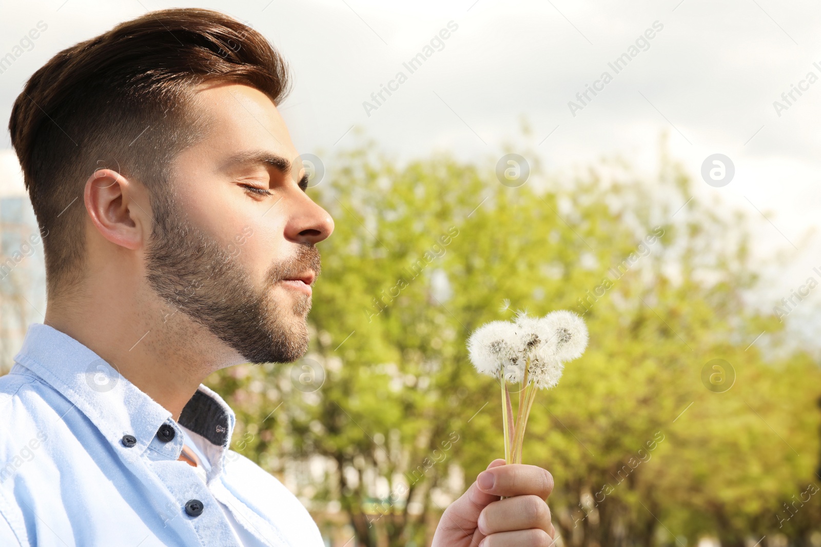Photo of Healthy young man blowing on dandelions outdoors. Allergy free concept