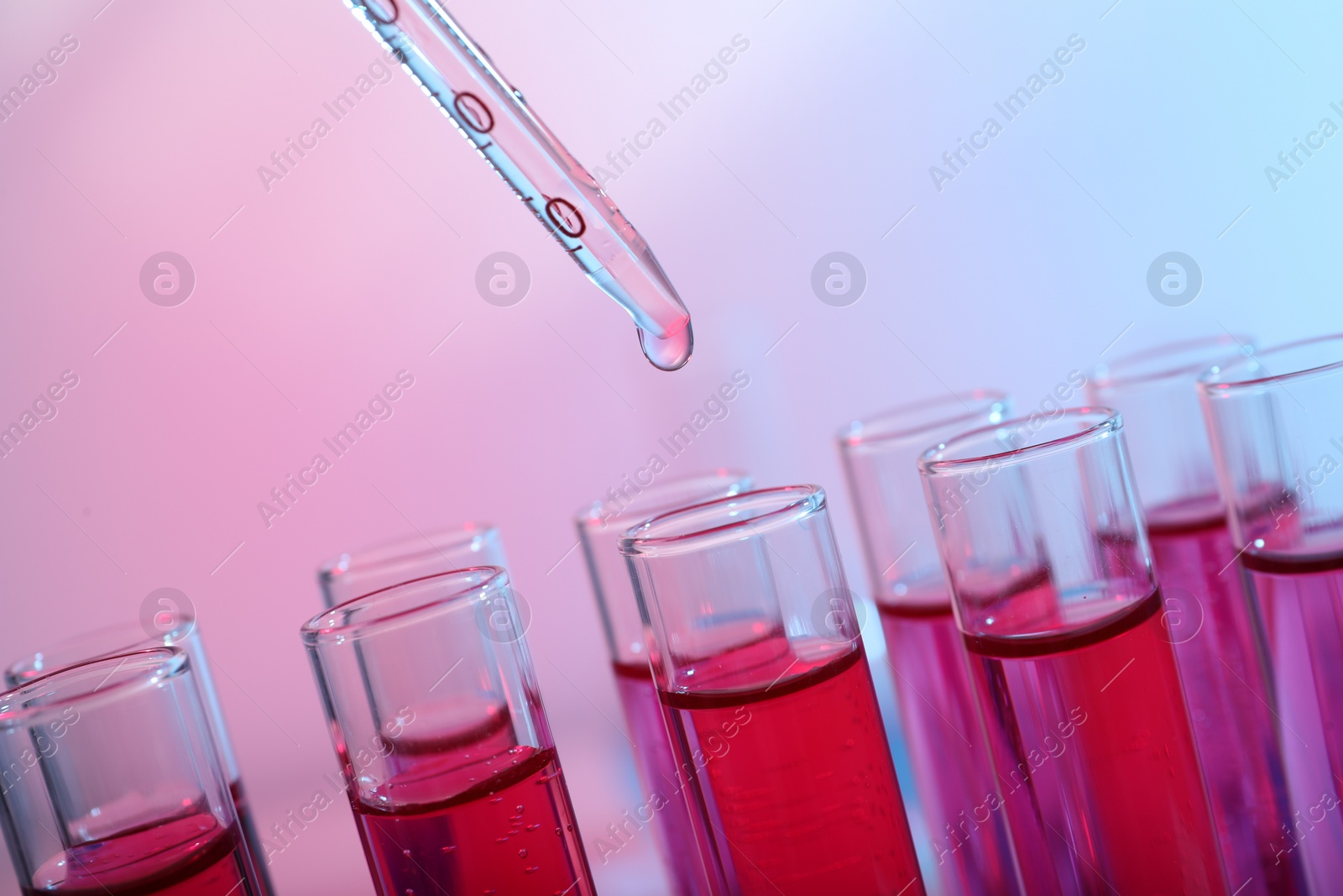 Photo of Dripping reagent into test tube with red liquid, closeup. Laboratory analysis