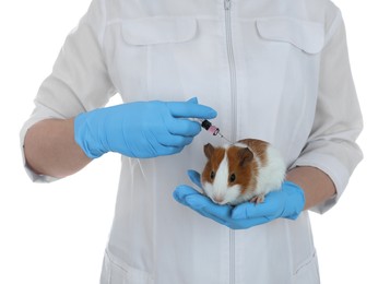 Photo of Scientist with syringe and guinea pig on white background, closeup. Animal testing concept